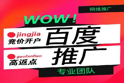 百度竞价包年推广案例分析